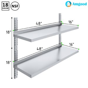 AmGood 16 in. x 48 in. Two-Tier Metal Wall Mount Shelf | Staunless Steel Shelving for Commercial Kitchen, Closet, Garage, Pantry, etc