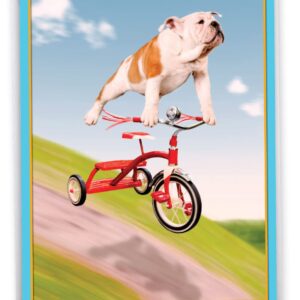 NobleWorks Big Humorous Birthday Greeting Card From Us 8.5 x 11 Inch with Envelope (1 Pack) Big, Jumbo Bday Dog On Trike J3204BDG-US