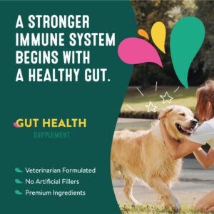 Happy Go Healthy Gut Health + Skin & Coat Bundle Supplements for Dogs - Probiotic & Prebiotic Benefits with Omega-3s | 2 x 21 Count Bags