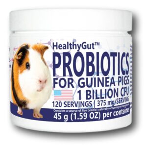 Equa Holistics HealthyGut Probiotics for Guinea Pigs Dietary Supplement, All-Natural Digestive System Formula (120 Servings)