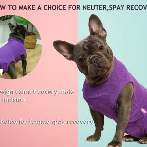 Wabdhaly Dog Surgery Recovery Suit for Female Spay,Puppy Surgical Recovery Zip Up Suit,Anti-Licking Bodysuit for Abdominal Wounds,Cone Alternative Recovery Blank Suit for Dogs