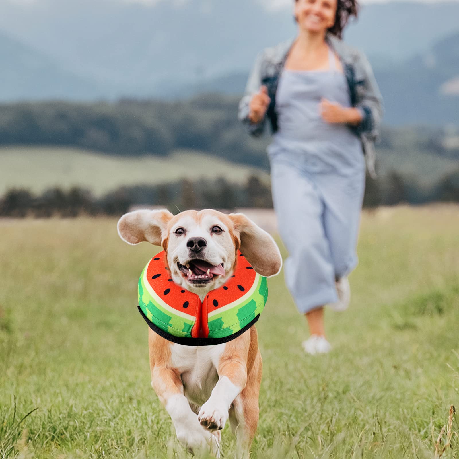 Dog Recovery Inflatable Collars Soft Donut Collar for Dogs and Cats After Surgery - Dog Protective Inflatable Neck Pillow - Does Not Block Vision E-Collar - Dog Cones Alternative (M, Red)