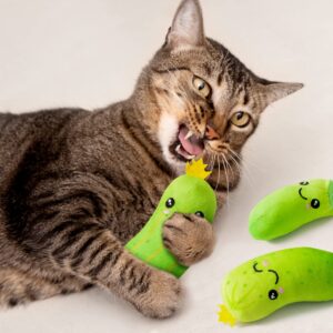 MALLMALL6 5Pcs Pickle Cat Toys, Kitten Catnip Toys for Cat Lover Gifts, Indoor Cat Chew Bite Kick Plush Cucumber Catmint Kitten Toys Supplies Interactive Cat Toy with Cute Expression for Pet Presents