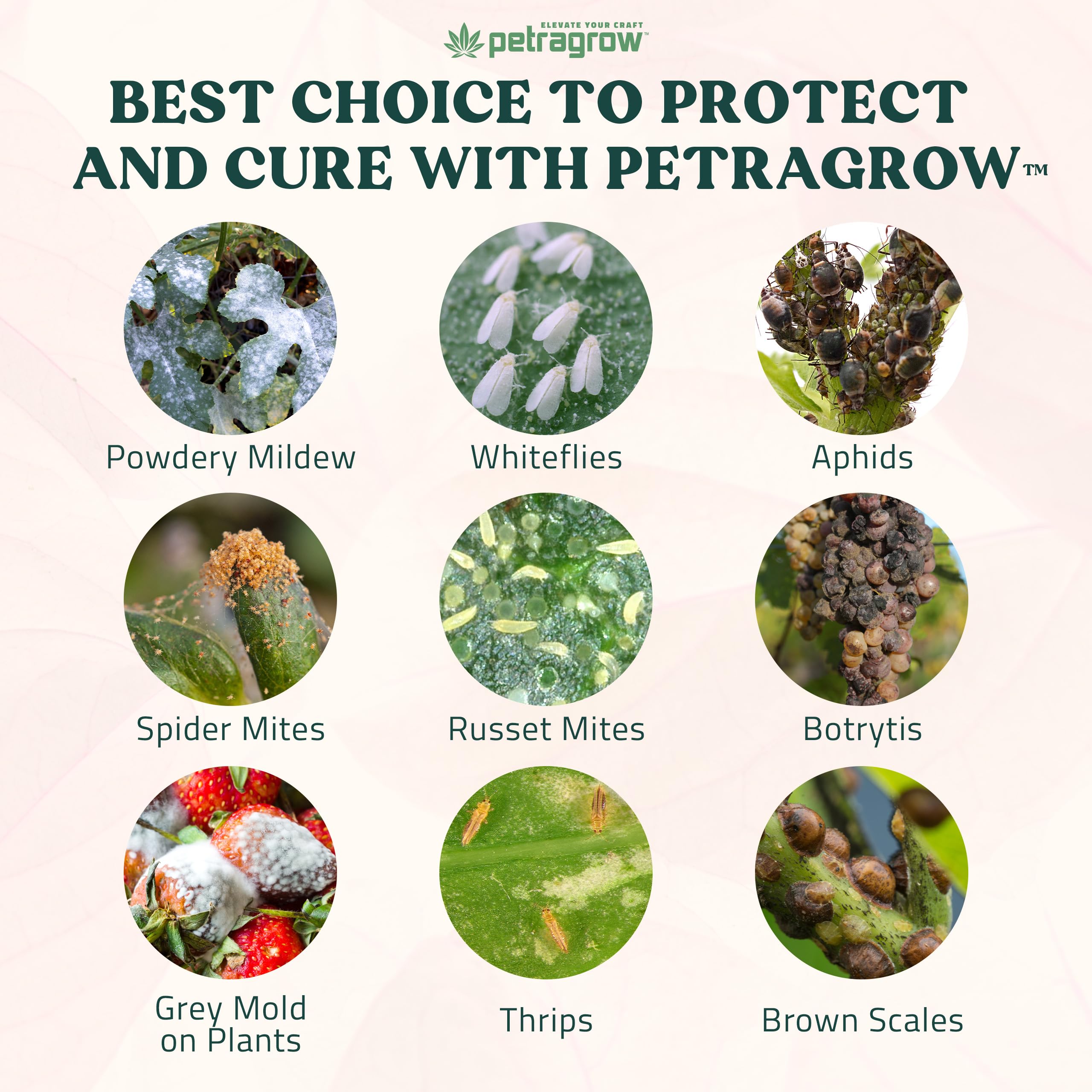 PetraGrow Crop Defender Leaf Guard Super Concentrate Pesticide, Miticide, Plant Fungicide, Insecticide for Indoor Plants, Spider Mite Spray, Powdery Mildew Spray for Plants - 1 Gal