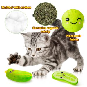 MALLMALL6 5Pcs Pickle Cat Toys, Kitten Catnip Toys for Cat Lover Gifts, Indoor Cat Chew Bite Kick Plush Cucumber Catmint Kitten Toys Supplies Interactive Cat Toy with Cute Expression for Pet Presents