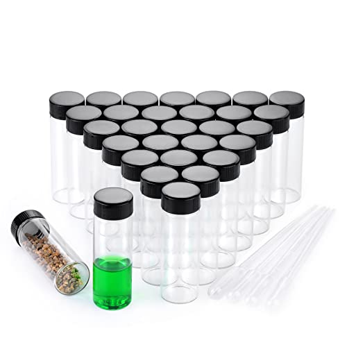 BKMAMLAB 30ml Clear Small Glass Vials 30pcs with Screw Caps(30pcs)