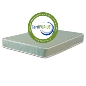 Greaton, 9-Inch Medium Firm Pocket Coil Water-Resistance Vinyl Mattress, Easy to Clean, Comfortable & Noise Free, Twin, Green