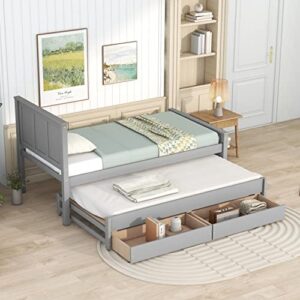 Twin Size Platform Bed with Trundle and 2 Storage Drawers, Wooden Twin Daybed with Slat Support, Modern Twin Trundle Bed Frame for Bedroom, Guest Room, Living Room (Twin, Gray)