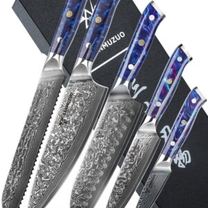 SANMUZUO Chef Cooking Knives Set- Kitchen Knife Set of 5 Piece - Ultra-Sharp VG10 Damascus Steel & Resin Handle - Xuan Series (Sapphire Blue)