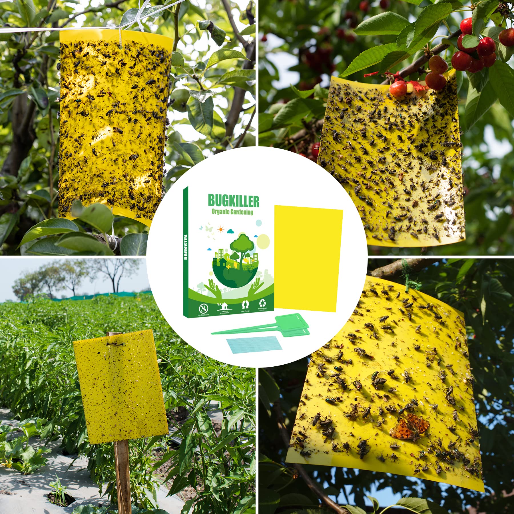 PESTCON 10PCS Yellow Sticky Traps for Plants Fungus Gnats Sticky Traps for Indoor or Outdoor Hanging Fruit Fly Traps for Catching Mosquitoes Whiteflies Aphids Leafminers... Twist Ties Included