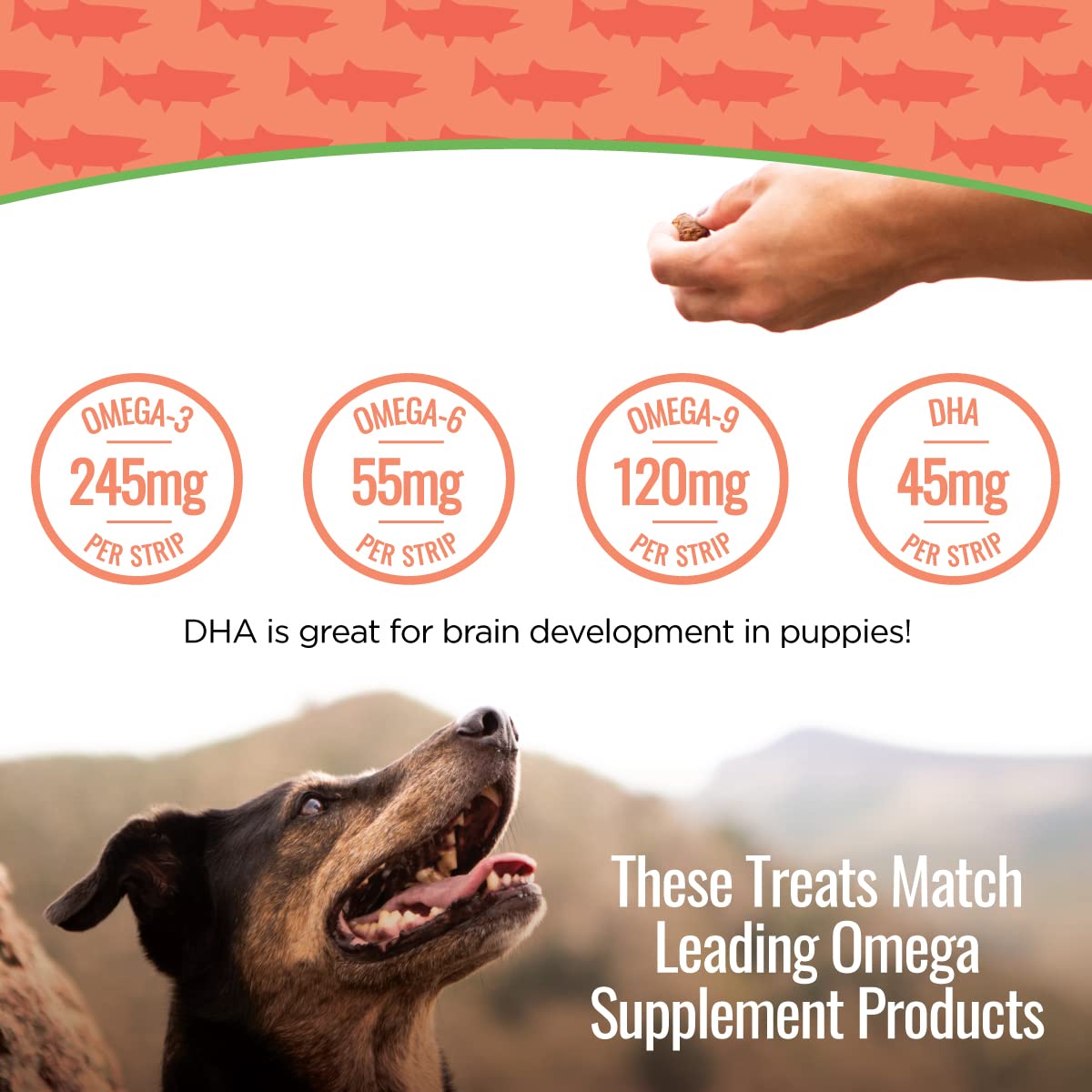 Smart Cookie Salmon Jerky Dog Treats - DHA & Omega Strips for Dogs & Puppies with Allergies, Sensitive Stomachs with Wild Caught Alaskan Salmon- Dehydrated, Grain Free, Made in USA - 3oz Bag Pack of 1