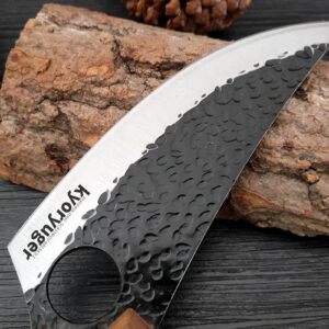 kyoryuger Fish Scale Knife Kitchen Knives Japanese Chef Knife Pro Kitchen Knife 8 Inch Chef's Knives High Carbon Stainless Steel Sharp Paring Knife with Ergonomic Handle, Useful Kitchen Gadgets