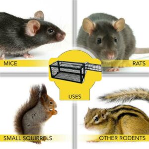 Mouse Trap Catch and Release Humane Animal Rodent Cage, Trap Mice, Rats, Chipmunks, Squirrel, Indoor and Outdoor, Easy to Use