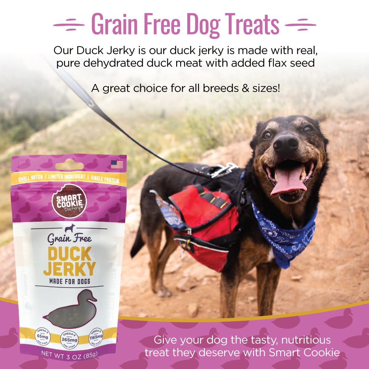 Smart Cookie Duck Jerky Dog Treats with Flax Seed, Omega Oils- Hypoallergenic Strips for Dogs and Puppies with Allergies, Sensitive Stomachs - Dehydrated, Grain Free, Made in USA - 3oz Bag, Pack of 1