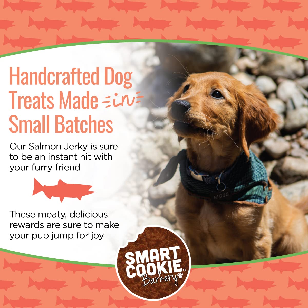 Smart Cookie Salmon Jerky Dog Treats - DHA & Omega Strips for Dogs & Puppies with Allergies, Sensitive Stomachs with Wild Caught Alaskan Salmon- Dehydrated, Grain Free, Made in USA - 3oz Bag Pack of 1