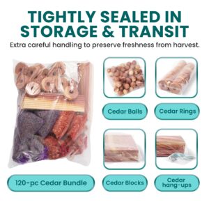 36 Cedar Blocks for Clothes Storage - Cedar Chips for Closets and Drawers - Moth Balls Repellent for Closets - Cedar Planks - Cedar for Closets - Cedar Hangers for Closet - Cedar Wood for Closets