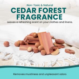 36 Cedar Blocks for Clothes Storage - Cedar Chips for Closets and Drawers - Moth Balls Repellent for Closets - Cedar Planks - Cedar for Closets - Cedar Hangers for Closet - Cedar Wood for Closets