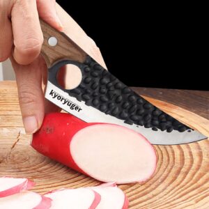 kyoryuger Fish Scale Knife Kitchen Knives Japanese Chef Knife Pro Kitchen Knife 8 Inch Chef's Knives High Carbon Stainless Steel Sharp Paring Knife with Ergonomic Handle, Useful Kitchen Gadgets