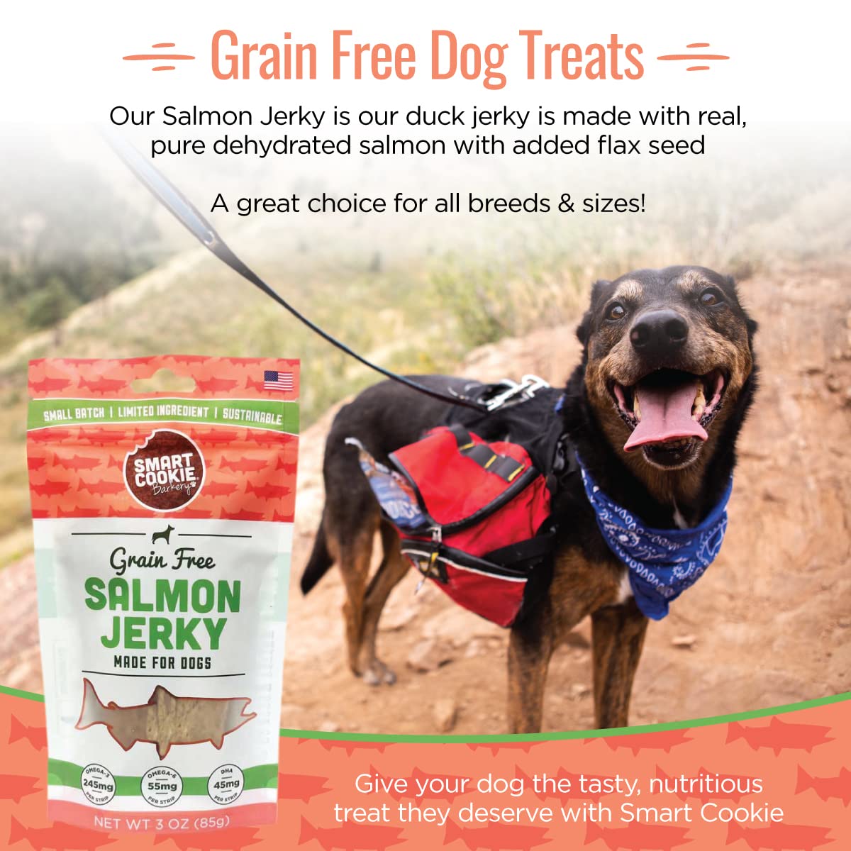 Smart Cookie Salmon Jerky Dog Treats - DHA & Omega Strips for Dogs & Puppies with Allergies, Sensitive Stomachs with Wild Caught Alaskan Salmon- Dehydrated, Grain Free, Made in USA - 3oz Bag Pack of 1