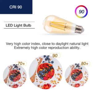 FLSNT 40W Equivalent LED Edison Bulbs with Amber Glass, 4W ST19 Dimmable Vintage LED Light Bulbs for Pendant Light, 90+ High CRI, 2200K Warm White, 400LM, E26 Base, 6 Pack