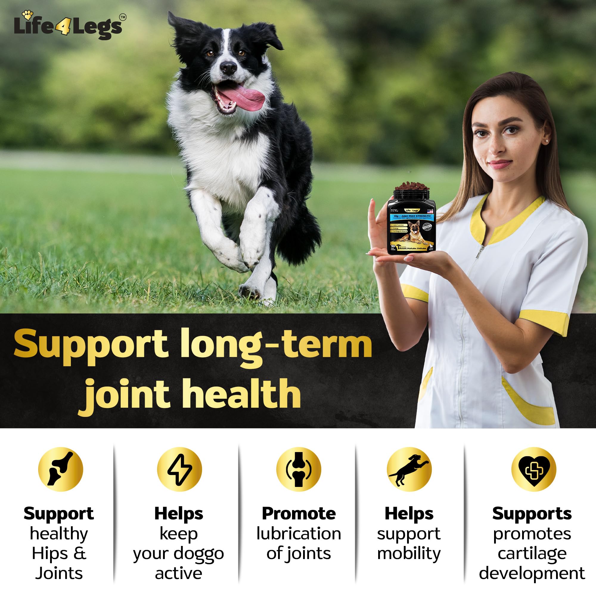 Life4Legs - Soft Chews Hip and Joint Supplement for Dogs - Dog Joint Pain Relief Treats - Glucosamine, Chondroitin, Turmeric - Mobility Bites Supplement