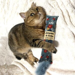 Jumpaws 2 Pack Natural Interactive Catnip & Silvervine Cat Kicker with Feathers, Bite Resistant Chew Toy, Crinkle Kicker, Accessories for Indoor Cat, Premium Corduroy Floral