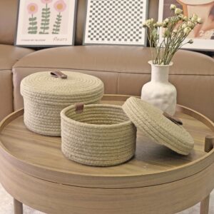 Aplolemo Jute Rope Basket with Lid,Decorative Woven Baskets with Lids,Leather Design Lidded Round Basket,Small Basket with lid,Storage Baskets with Lids-Set of 2（10"x6"/8.5"x5"）