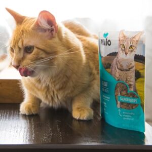 Nulo Digestive Health Functional Treats Grain-Free with BC30 Probiotic Chicken Recipe for Cats & Kittens 4oz