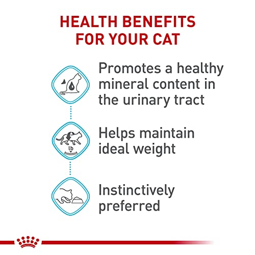 Royal Canin Feline Urinary Care Thin Slices in Gravy Wet Cat Food, 3 oz can (24-count)