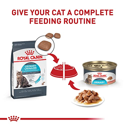 Royal Canin Feline Urinary Care Thin Slices in Gravy Wet Cat Food, 3 oz can (24-count)