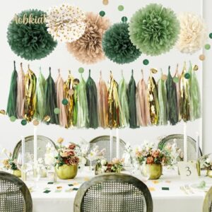 AOBKIAT Sage Green Wedding Party Decorations,28 PCS Tissue Paper Pom Poms,Circle Dots Garland Paper Tassels Hanging Backdrop for Girl Women Birthday,Bridal Baby Shower,Boho Wedding Party Supplies