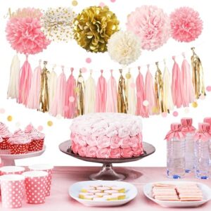 AOBKIAT Baby Shower Birthday Party Decorations for Girl,28 PCS Pink Gold Tissue Paper Pom Poms,Dots Paper Garland,Tassel Galand,Hanging Backdrop for Bridal Showers,Wedding Party Supplies