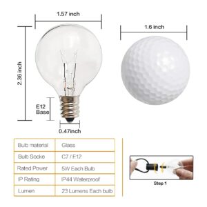 CHYSUPER G40 Light Bulbs Replacement, Clear Globe G40 Bulbs E12 120V 5W, G40 Replacement Bulbs for Outdoor String Lights, 25 Pack (Incandescent Bulbs)