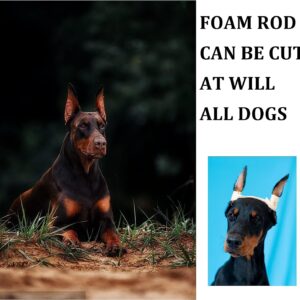 Pacify Doberman Dog Ear Posting Kit, Dog Ear Stand Up Support Tool with Tape Doberman Pinscher Dogs