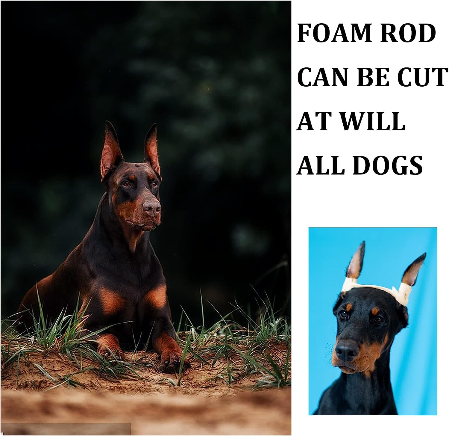 Pacify Doberman Dog Ear Posting Kit, Dog Ear Stand Up Support Tool with Tape Doberman Pinscher Dogs