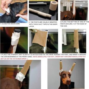 Pacify Doberman Dog Ear Posting Kit, Dog Ear Stand Up Support Tool with Tape Doberman Pinscher Dogs