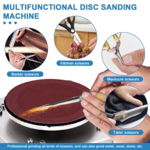 4 Inch Mini Disc Sander with Variable Speed 6000 RPM, Electric Small Hobby Disk Sander with Forward & Reverse Function, Sanding Disc Machine for Woodworking, Metal Working, Stone and Scissors Sanding