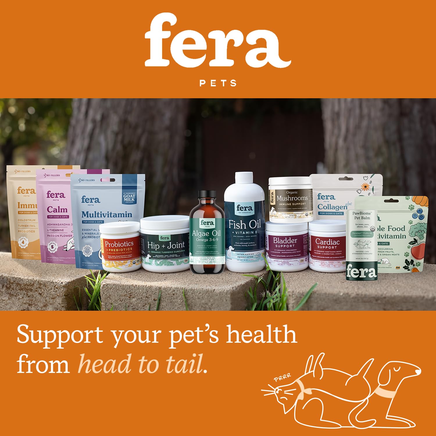 Fera Pet Organics Pumpkin Plus Fiber Supplement for Pets - Vet Created - Dog & Cat Regularity & Gut Function - Organic Pumpkin Seeds, Flax Seeds - 90 Scoops​