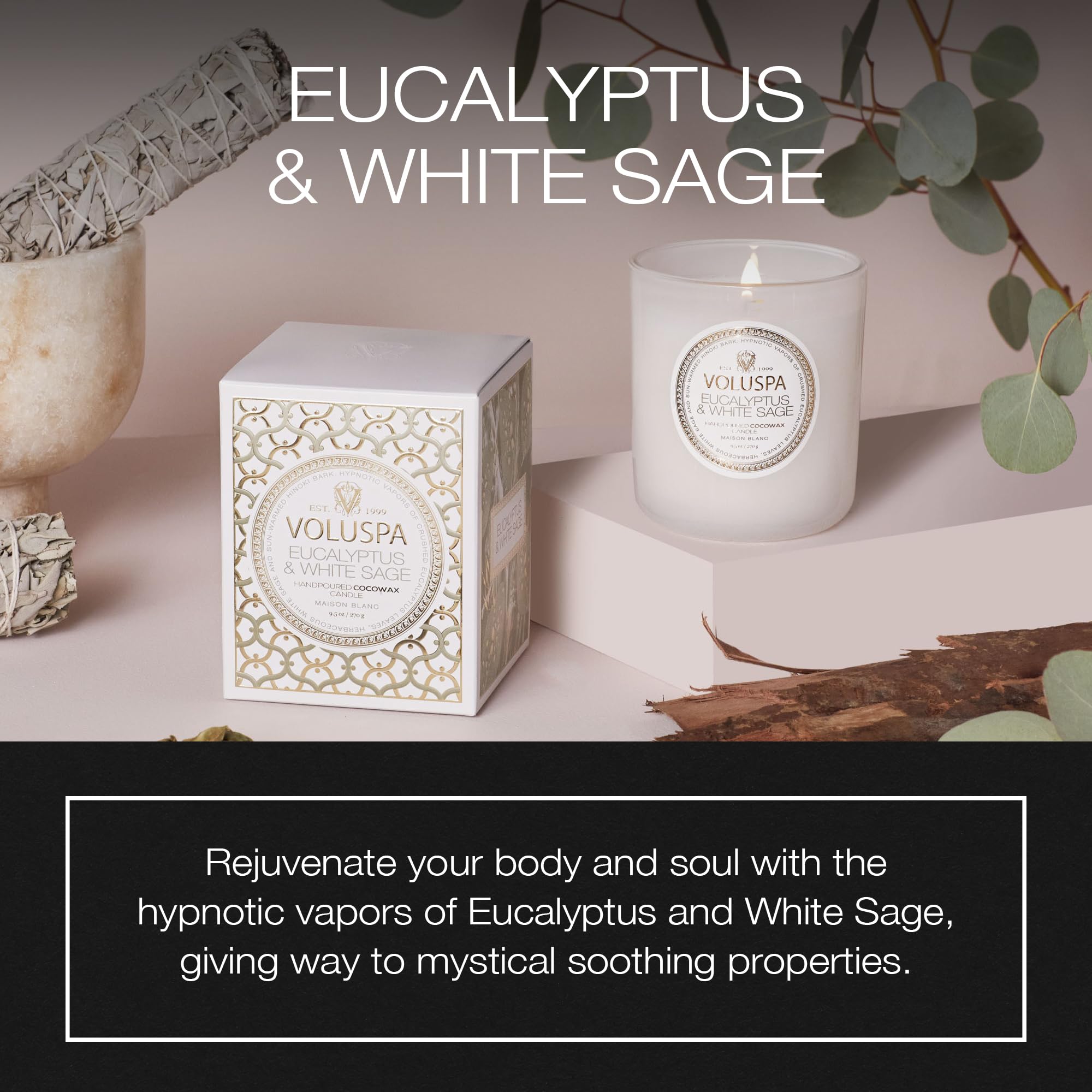 Voluspa Eucalyptus & White Sage, Classic Boxed Candle, 9.5 oz, 60 Hour Burn Time, All Natural Wicks and Coconut Wax for Clean Burning, Vegan, Poured in the USA