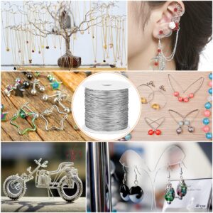 cridoz 22 Gauge Stainless Steel Wire for Jewelry Making, Bailing Wire Snare Wire Wrapping for Craft and Jewelry Making