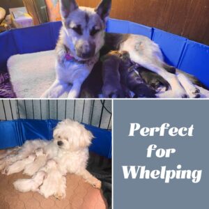 Artilife Whelping Box for Dogs Welp Box Whelping Pool,Puppy Whelping Box,Whelping Pen for Dogs,Whelping Box for Dogs and Puppies,Great for Puppies,Easy to Clean (47inch Dia.x12inch H(120x30cm), Blue)