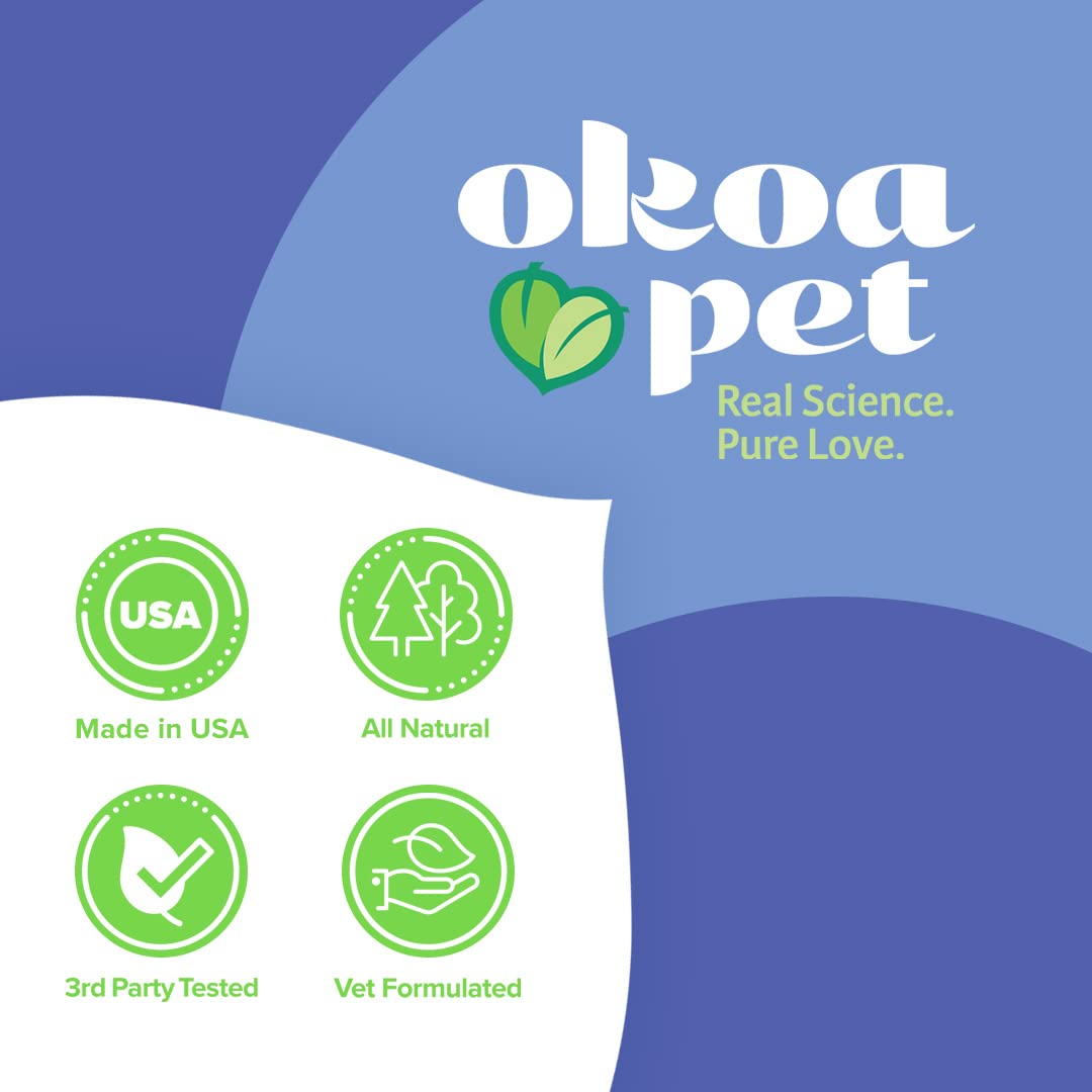 Okoa Pet Belly Boost Probiotic Soft Chews for Dogs - Vet Formulated for Gut Health, Digestion, Allergy Relief, & Immune System Support - Smoked Pumpkin & Sweet Potato Flavor - for All Breeds & Sizes