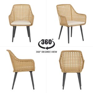 Verano Garden Patio Modern Dining Chairs Set of 2, Outdoor Rattan Dining Chair with Cushion and Armrest, Rust-Resistant Steel Frame Dining Chair Set for Yard, Porch, Deck, Lawn, Patio