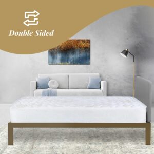 Greaton 8 1/2 inch Medium Firm Double Side Mattresses with Utmost Comfort, Both Sides Usable, Helps to Maintain Proper Body Posture, Full XL, Beige