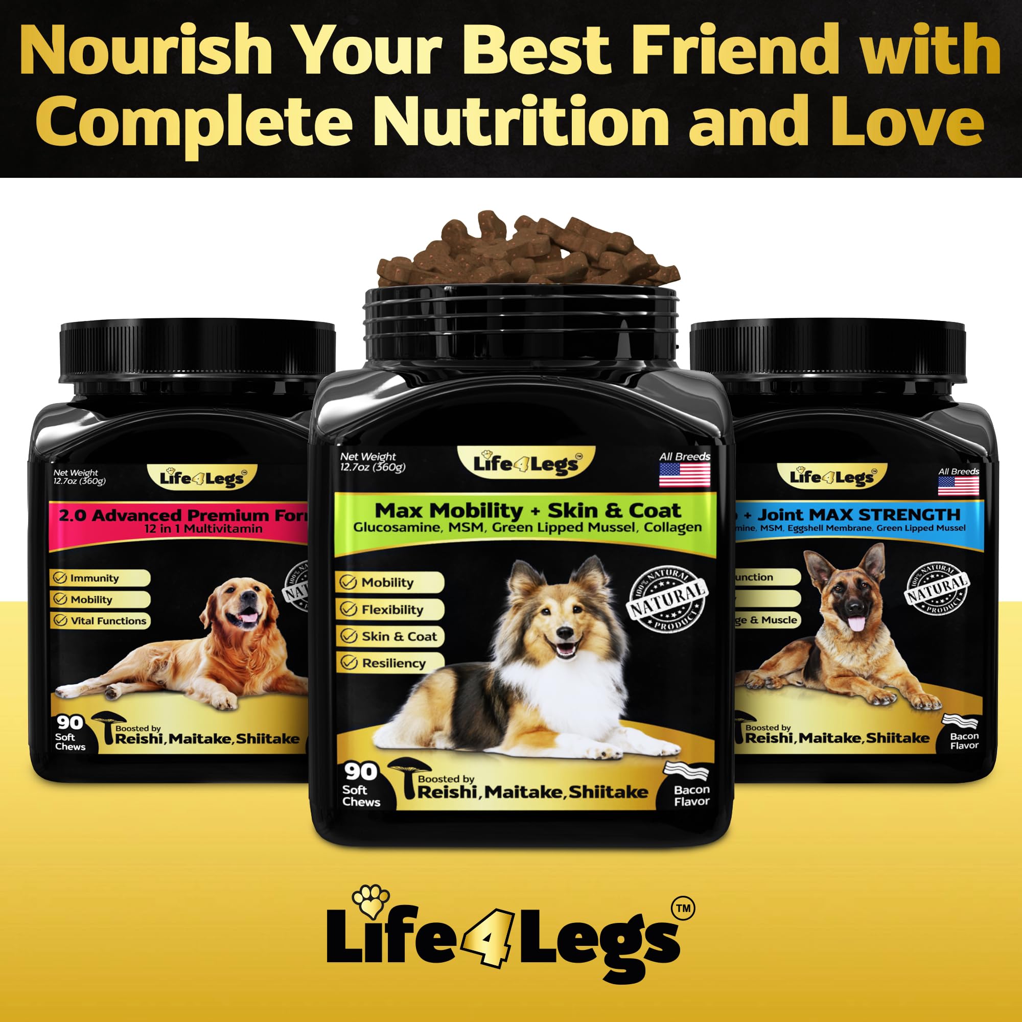 Life4Legs - Hip and Joint Chews for Dogs Plus Skin and Coat Supplement - Dog Joint Pain Relief Treats - Glucosamine, Chondroitin, MSM, Hemp Oil, Turmeric, Omega 3 for Dogs, Mobility Bites Dog Health