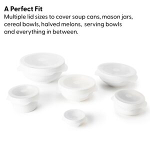 W&P Reusable Silicone Stretch Lid, Set of 6 Circular Lids, Dishwasher Safe, Freezer Safe, LFGB/Premium Materials, Microwave Safe, Clear