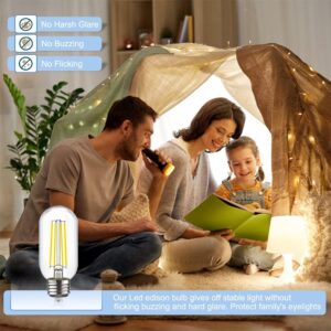 MMBGJKG Dimmable T45 LED Edison Bulb,2700K Warm White,5W Antique Tubular LED Filament Bulbs,60 Watt Equivalent E26 Base,Pack of 4