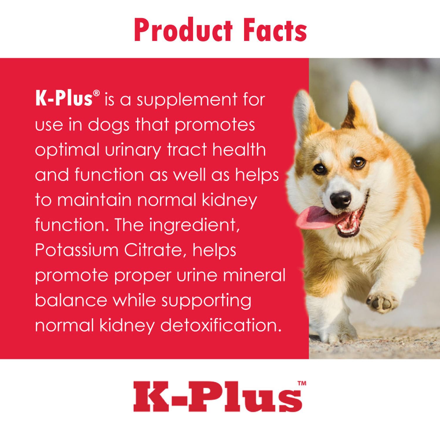 K-Plus Potassium Gluconate Renal Gel Plus Cranberry and EPA for Dogs and Cats - Veterinarian Approved Renal Supplement - Supports Potassium Balance -(3 Pack)