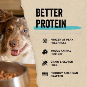 Vital Essentials Freeze Dried Raw Protein Mix-in Dog Food Topper, Salmon Mini Nibs Topper for Dogs, 6 oz