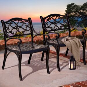 DWVO Set of 2 Outdoor Cast Aluminum Outdoor Chairs with Armrest, All-Weather Patio Dining Chair with Adjustable Feet for Balcony, Backyard, Deck, Garden, Hammered Bronze